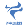 斧牛加速器